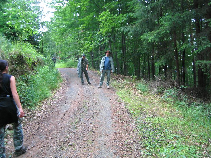 Stlky - Veterni PS 2004
