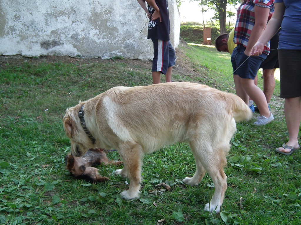 Stlky - Veterni PS 2012