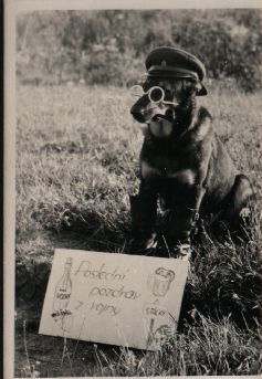 Stlky - Veterni PS - historick foto