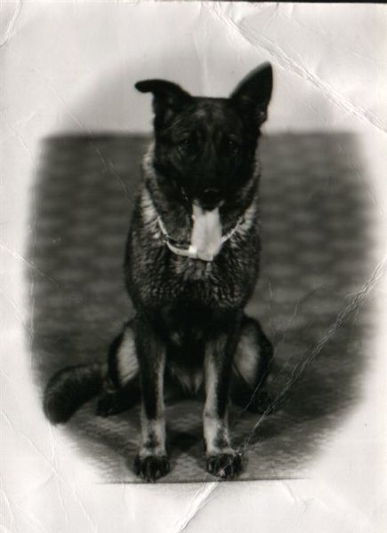 Stlky - Veterni PS - historick foto