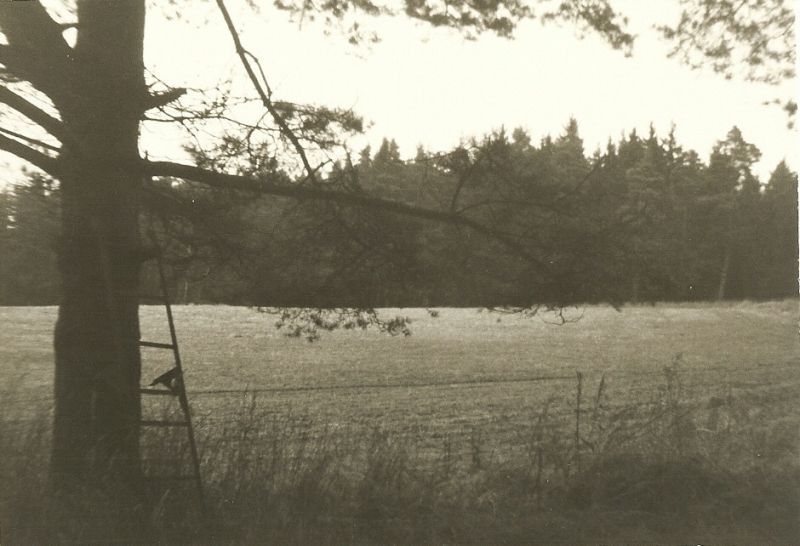 Stlky - Veterni PS - historick foto